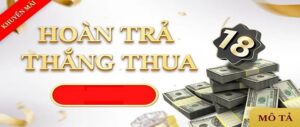 Hoàn Trả Hàng Ngày Tại Sao789: Cơ Hội Vàng Cho Dân Cá Cược